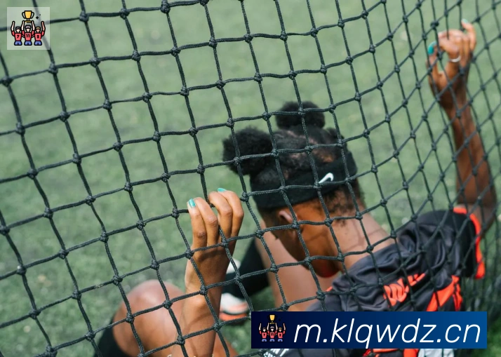 开云体育登录服务体系